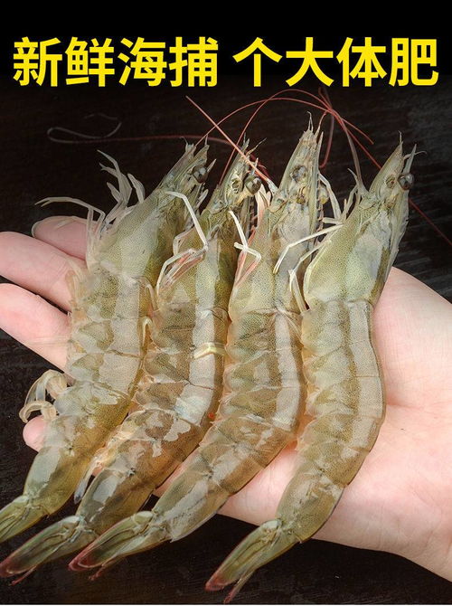 新鲜大虾海虾海鲜水产鲜活冷冻白对虾基围虾生鲜食品特产美食一箱