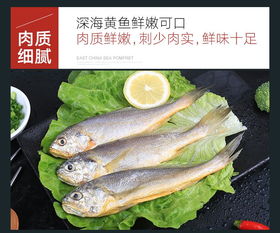 海洋谷小黄鱼2斤宁波特产生鲜小黄花鱼冷冻海鱼冰冻海鲜水产品