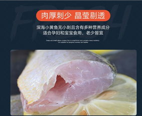 东海小黄鱼3斤装新鲜冰冻黄鱼黄花鱼生鲜海鱼海鲜水产10 12条 斤
