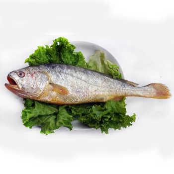 宁德小黄花鱼200±50克/条 营养食品 冰鲜黄花鱼 生鲜水产品冰鲜鱼类